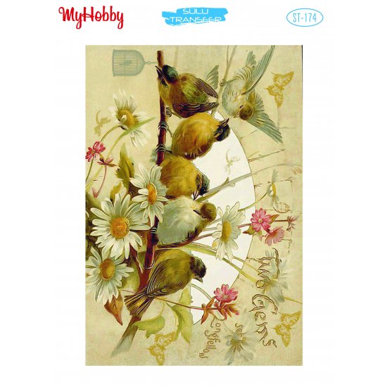 My Hobby ST 174 Sulu Transfer 25x35 cm