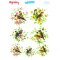 My Hobby ST 176 Sulu Transfer 25x35 cm