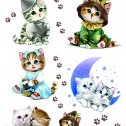 My Hobby ST 177 Sulu Transfer 25x35 cm