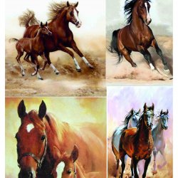 My Hobby ST 179 Sulu Transfer 25x35 cm