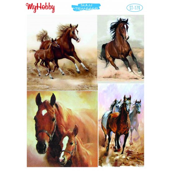My Hobby ST 179 Sulu Transfer 25x35 cm