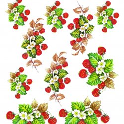 My Hobby ST 180 Sulu Transfer 25x35 cm