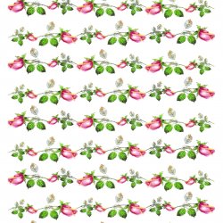 My Hobby ST 181 Sulu Transfer 25x35 cm