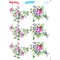 My Hobby ST 185 Sulu Transfer 25x35 cm