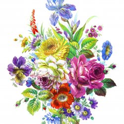 My Hobby ST 187 Sulu Transfer 25x35 cm