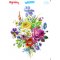 My Hobby ST 187 Sulu Transfer 25x35 cm