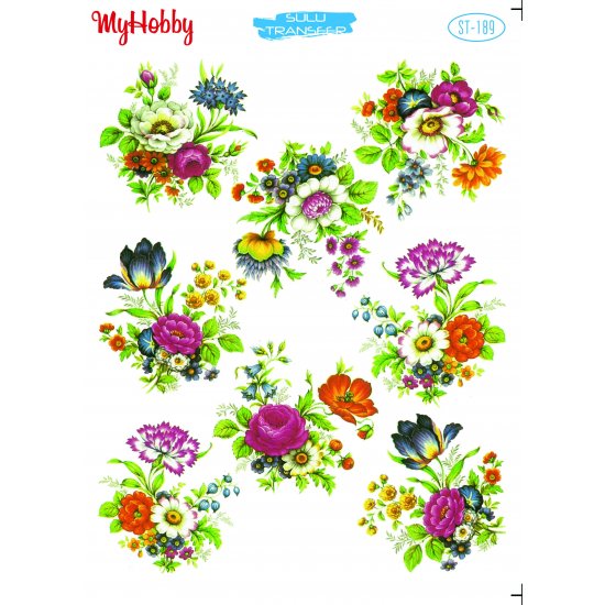 My Hobby ST 189 Sulu Transfer 25x35 cm