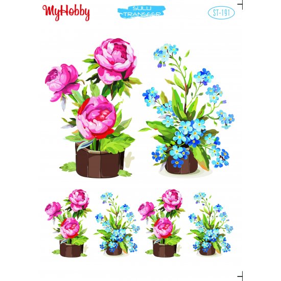 My Hobby ST 191 Sulu Transfer 25x35 cm