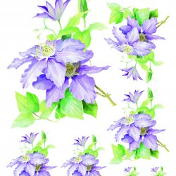 My Hobby ST 192 Sulu Transfer 25x35 cm