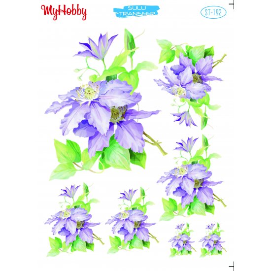 My Hobby ST 192 Sulu Transfer 25x35 cm