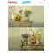 My Hobby ST 207 Sulu Transfer 25x35 cm