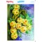 My Hobby ST 228 Sulu Transfer 25x35 cm