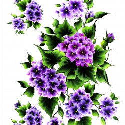My Hobby ST 232 Sulu Transfer 25x35 cm