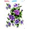 My Hobby ST 232 Sulu Transfer 25x35 cm