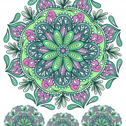My Hobby ST 243 Sulu Transfer 25x35 cm