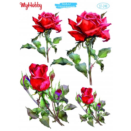 My Hobby ST 249 Sulu Transfer 25x35 cm