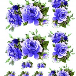 My Hobby ST 259 Sulu Transfer 25x35 cm