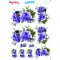 My Hobby ST 259 Sulu Transfer 25x35 cm