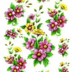 My Hobby ST 269 Sulu Transfer 25x35 cm
