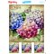 My Hobby ST 271 Sulu Transfer 25x35 cm
