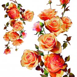 My Hobby ST 280 Sulu Transfer 25x35 cm
