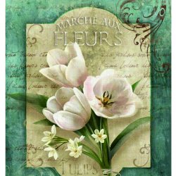 My Hobby ST 283 Sulu Transfer 25x35 cm