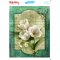 My Hobby ST 283 Sulu Transfer 25x35 cm