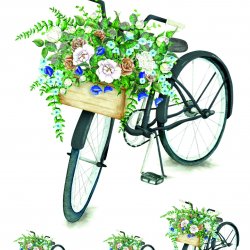 My Hobby ST 285 Sulu Transfer 25x35 cm