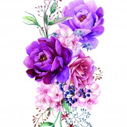 My Hobby ST 290 Sulu Transfer 25x35 cm