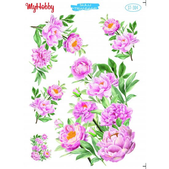 My Hobby ST 304 Sulu Transfer 25x35 cm