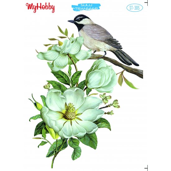 My Hobby ST 305 Sulu Transfer 25x35 cm