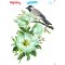 My Hobby ST 305 Sulu Transfer 25x35 cm