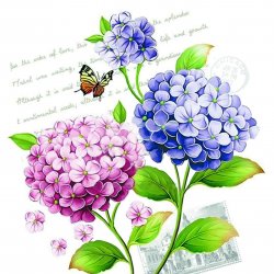 My Hobby ST 307 Sulu Transfer 25x35 cm