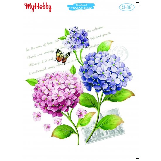 My Hobby ST 307 Sulu Transfer 25x35 cm