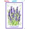 My Hobby ST 309 Sulu Transfer 25x35 cm