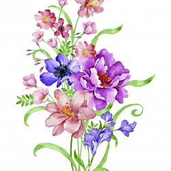 My Hobby ST 314 Sulu Transfer 25x35 cm
