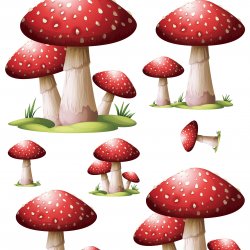 My Hobby ST 345 Sulu Transfer 25x35 cm