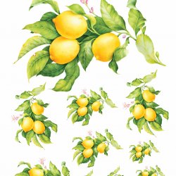 My Hobby ST 352 Sulu Transfer 25x35 cm