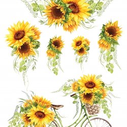 My Hobby ST 364 Sulu Transfer 25x35 cm
