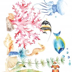 My Hobby ST 367 Sulu Transfer 25x35 cm
