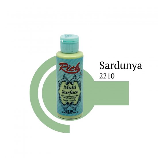 Rich Multi Surface Boya 2210 Sardunya 120 cc
