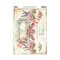 6802 Açık Zemin Kolay Transfer 33x23cm