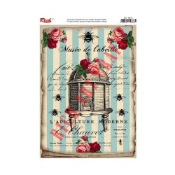 6810 Açık Zemin Kolay Transfer 33x23cm