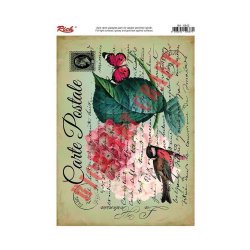 6842 Açık Zemin Kolay Transfer 33x23cm
