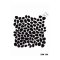 Stencil New166 Serisi 25x35