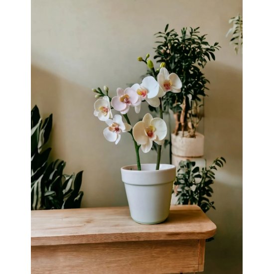 SMARTA Silikon Kalıp Orkide Kesici ve Damarlayıcı Seti SK1013073